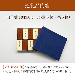 井上菓子舗 一口羊羹 10個