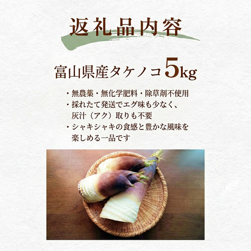 天然タケノコ 5kg 朝掘り 採れたて発送 富山県産 ＜農薬・化学肥料・除草剤不使用＞