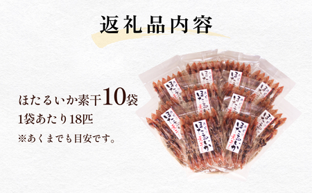ほたるいか素干 10袋セット