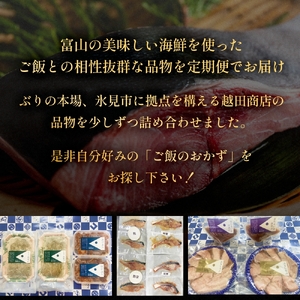 ＜3回定期便＞ご飯のお供定期便 富山県 氷見市 白エビぶり ほたるいか 冷凍 おかず