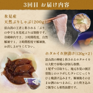 ＜3回定期便＞ご飯のお供定期便 富山県 氷見市 白エビぶり ほたるいか 冷凍 おかず