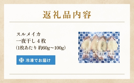 するめいか一夜干し 4枚 富山県 氷見市 イカ 干物