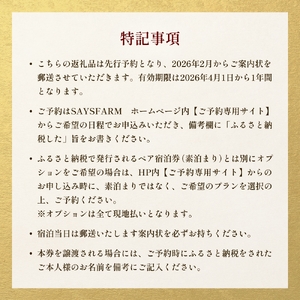 ＜先行予約＞SAYSFARM STAY ペア宿泊券 ＜2026年2月以降順次発送＞ 富山県 氷見市 観光 旅行 宿泊