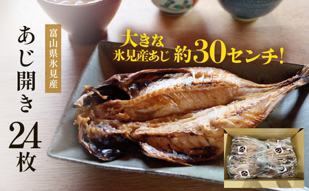 氷見産あじ開き 24枚 約30センチ！富山湾海の幸 〈冷凍〉