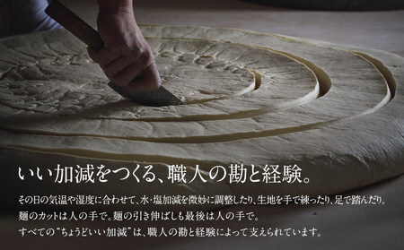 海津屋 氷見うどん細麺10本・つゆ5袋×2(自家用)簡易箱 富山県 氷見市 乾麺 うどん