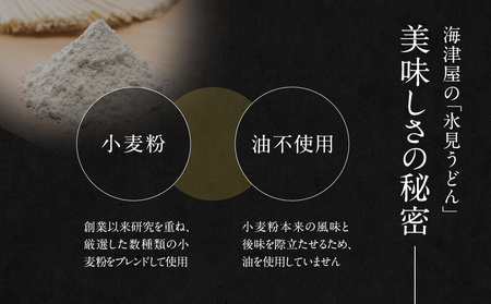 海津屋 氷見うどん細麺10本・つゆ5袋×2(自家用)簡易箱 富山県 氷見市 乾麺 うどん