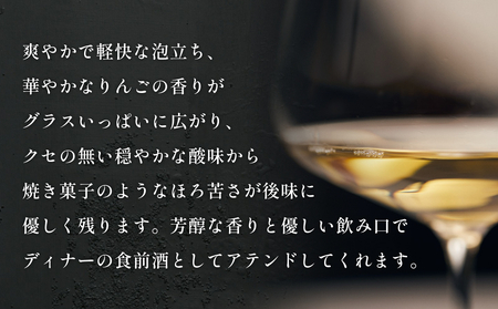 ＜先行予約＞SAYS FARM シードル 750×2本セット ＜2026年1月中旬以降順次発送＞ 富山県 氷見市 シードル 酒 りんご酒