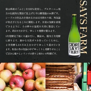 ＜先行予約＞SAYS FARM シードル 750×2本セット ＜2026年1月中旬以降順次発送＞ 富山県 氷見市 シードル 酒 りんご酒