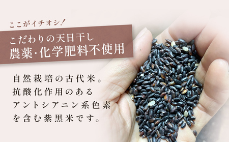 朝紫（古代米/ 紫黒米）250g×4（栽培期間中、農薬・化学肥料不使用）【こだわりの天日干し】