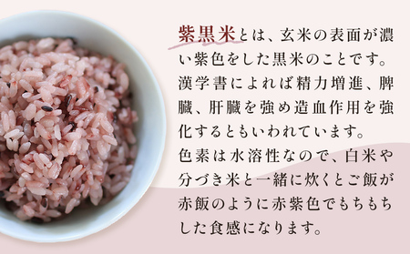 朝紫（古代米/ 紫黒米）250g×4（栽培期間中、農薬・化学肥料不使用）【こだわりの天日干し】