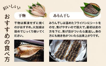 厳選!半七のおまかせ干物 詰め合わせセット(9-10種) 富山県 氷見市 干物 おかず 魚 一品