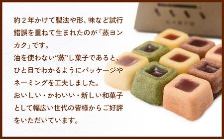 蒸ヨンカク 2袋 富山県 氷見市 和菓子 焼き菓子 羊羹 