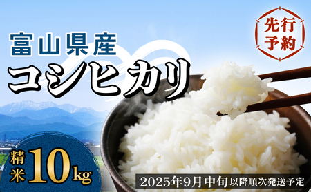 富山米 こしひかり 10kg 2025年3月中旬精米 富山県産 コシヒカリ 令和6年産 白米 10キロ 精米時期 3月上旬