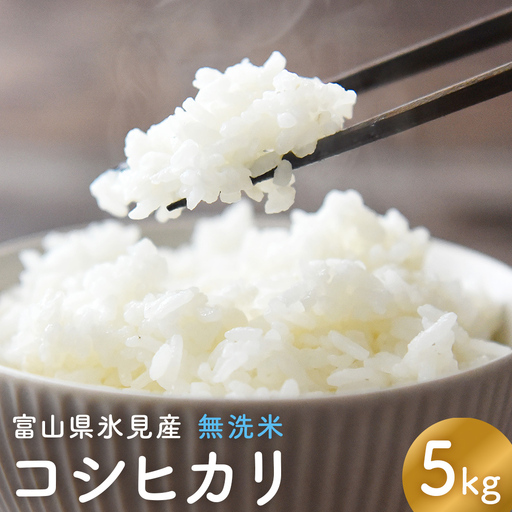 コシヒカリ 無洗米 5kg 富山県氷見産 富山県 氷見市 米 コシヒカリ