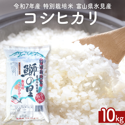 先行受付】令和7年産 特別栽培米 富山県産コシヒカリ 10kg 先行受付】令和7年産 特別栽培米 富山県産コシヒカリ 10kg