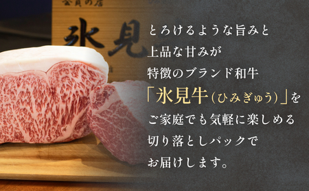 氷見牛切り落とし 300g × 2パック 合計600g 小分け 黒毛和牛 牛肉 富山県 氷見市