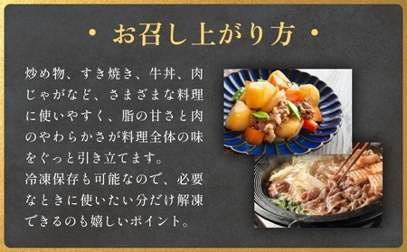 氷見牛切り落とし 300g × 2パック 合計600g 小分け 黒毛和牛 牛肉 富山県 氷見市