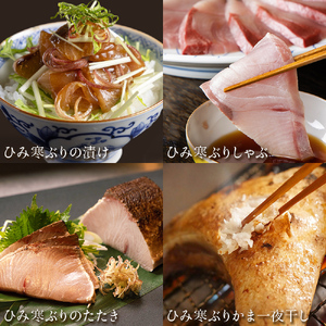 【先行予約】ひみ寒ぶり食べ尽くしセット【2025年12月中旬以降順次発送】 鰤 ブリ 詰め合わせ 冷凍 魚介 富山県 氷見市