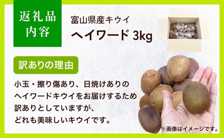 【先行予約】 訳ありヘイワード3kg(小玉、異形、擦り傷、日焼け) 【2025年12月中旬以降順次発送】 数量限定 希少 国産 甘い 氷見キウイランド 富山県 氷見市