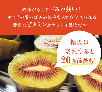 訳ありレインボーレッド3kg（小玉、異形、擦り傷、日焼け） 数量限定 希少 国産 甘い 氷見キウイランド 富山県 氷見市