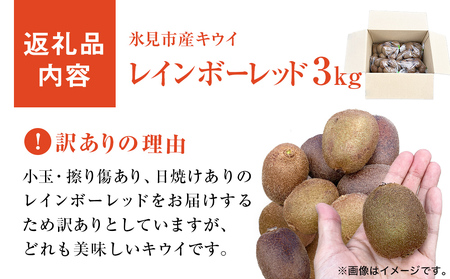 訳ありレインボーレッド3kg（小玉、異形、擦り傷、日焼け） 数量限定 希少 国産 甘い 氷見キウイランド 富山県 氷見市