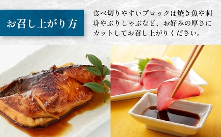 氷見産 天然寒ブリ 片身 1/2カット | 釣屋魚問屋直営店