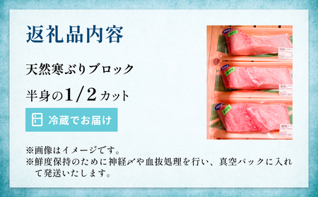 氷見産 天然寒ブリ 片身 1/2カット | 釣屋魚問屋直営店