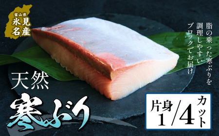 氷見産 天然寒ブリ 片身 １／4カット | 釣屋魚問屋直営店