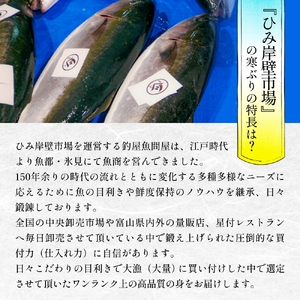 氷見産 天然寒ぶり 柵 2-3人前 約200g-300g | 釣屋魚問屋直営店