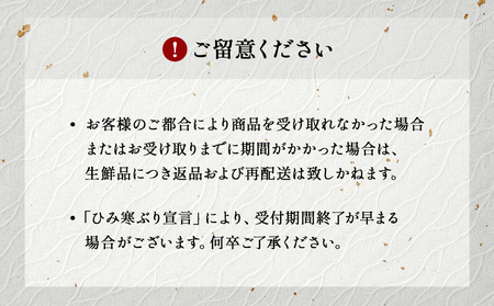 【先行予約】ひみ寒ぶり 柵 2-3人前(腹のみ) 富山湾 能登 寒ブリ 天然鰤 冷蔵 サク 富山県 氷見市 ブリトロ