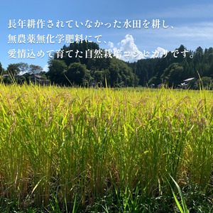 <玄米>令和7年産富山県産自然栽培米コシヒカリ5kg
