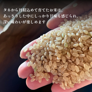 <玄米>令和7年産富山県産自然栽培米コシヒカリ5kg