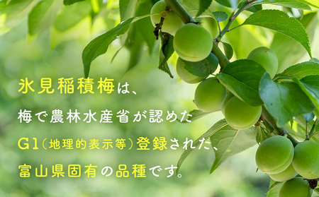 梅肉エキス 氷見稲積梅100% 2個 富山県 氷見市 国産 うめ 青梅 クエン酸