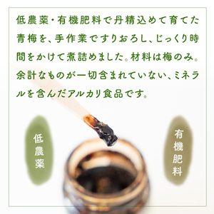 梅肉エキス 氷見稲積梅100% 2個 富山県 氷見市 国産 うめ 青梅 クエン酸