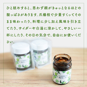 梅肉エキス 氷見稲積梅100% 2個 富山県 氷見市 国産 うめ 青梅 クエン酸
