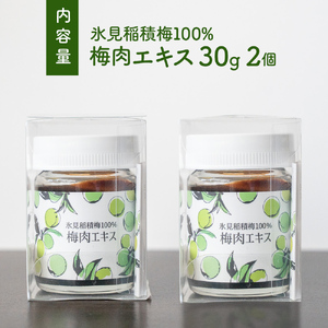 梅肉エキス 氷見稲積梅100% 2個 富山県 氷見市 国産 うめ 青梅 クエン酸