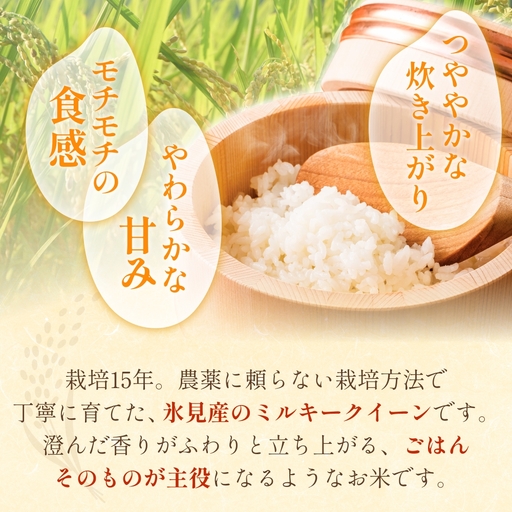 令和7年産 富山県産 ミルキークイーン はさがけ米 玄米 5kg 富山県 氷見市 米 ブランド米