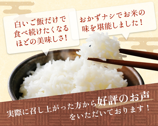 令和7年産 富山県産 ミルキークイーン はさがけ米 玄米 5kg 富山県 氷見市 米 ブランド米