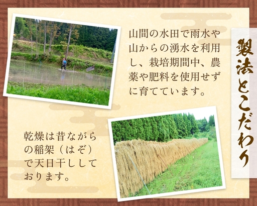 令和7年産 富山県産 ミルキークイーン はさがけ米 玄米 5kg 富山県 氷見市 米 ブランド米