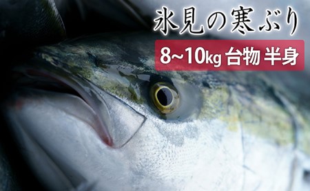 氷見の寒ぶり 8~10kg台物半身 真空パック【ひみ水産】※配送地域限定