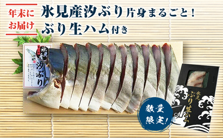 【年末にお届け!】氷見産汐ぶり片身丸ごと!ぶり生ハム付き