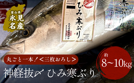 【先行予約受付】ひみ寒ぶり 朝どれ1本 三枚おろし(神経抜〆:8~10kg)【半七】※配送地域限定