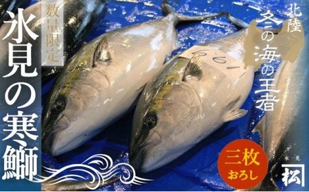 【先行予約】天然寒鰤 『ひみ寒ぶり』一本丸ごと便(三枚おろし処理)※配送エリア限定※
