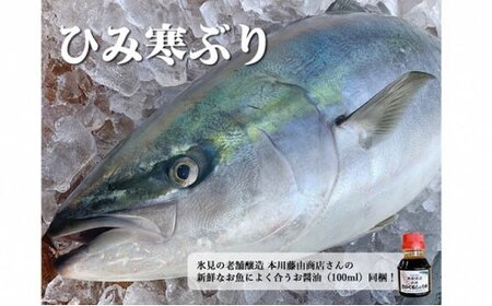 【先行予約】【丸々1本】ひみ寒ぶりまるごと1本【角安商店】※配送エリア限定※