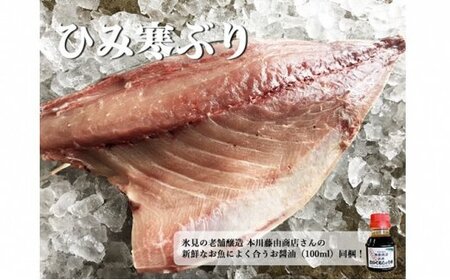 【先行予約】ひみ寒ぶり 8~10kg台物 半身【角安商店】※配送エリア限定※