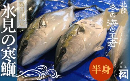 【先行予約】天然寒鰤 『ひみ寒ぶり』<半身>※配送エリア限定※