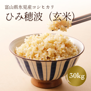 【玄米】令和4年産富山県産コシヒカリ《ひみ穂波》30kg 富山県 氷見市 こしひかり 30kg 玄米