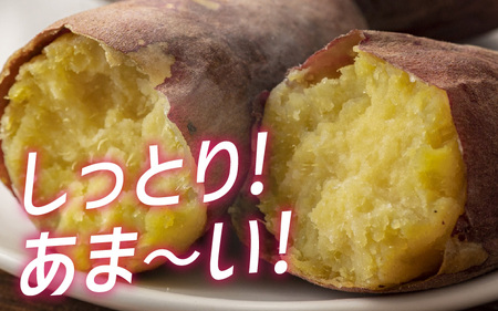  【先行予約】サツマイモ（紅はるか）サイズ不揃いの訳あり（M～2L）約6kg　※2026年1月以降順次発送予定 さつまいも 紅はるか  訳アリ いも 芋 サツマイモ