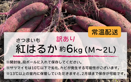  【先行予約】サツマイモ（紅はるか）サイズ不揃いの訳あり（M～2L）約6kg　※2026年1月以降順次発送予定 さつまいも 紅はるか  訳アリ いも 芋 サツマイモ