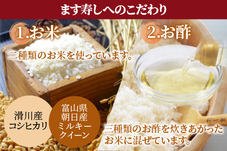 【定期便6回（隔月）】ご家庭用に！　簡易包装 ます寿し【本州のみ発送】　  [F-024001]